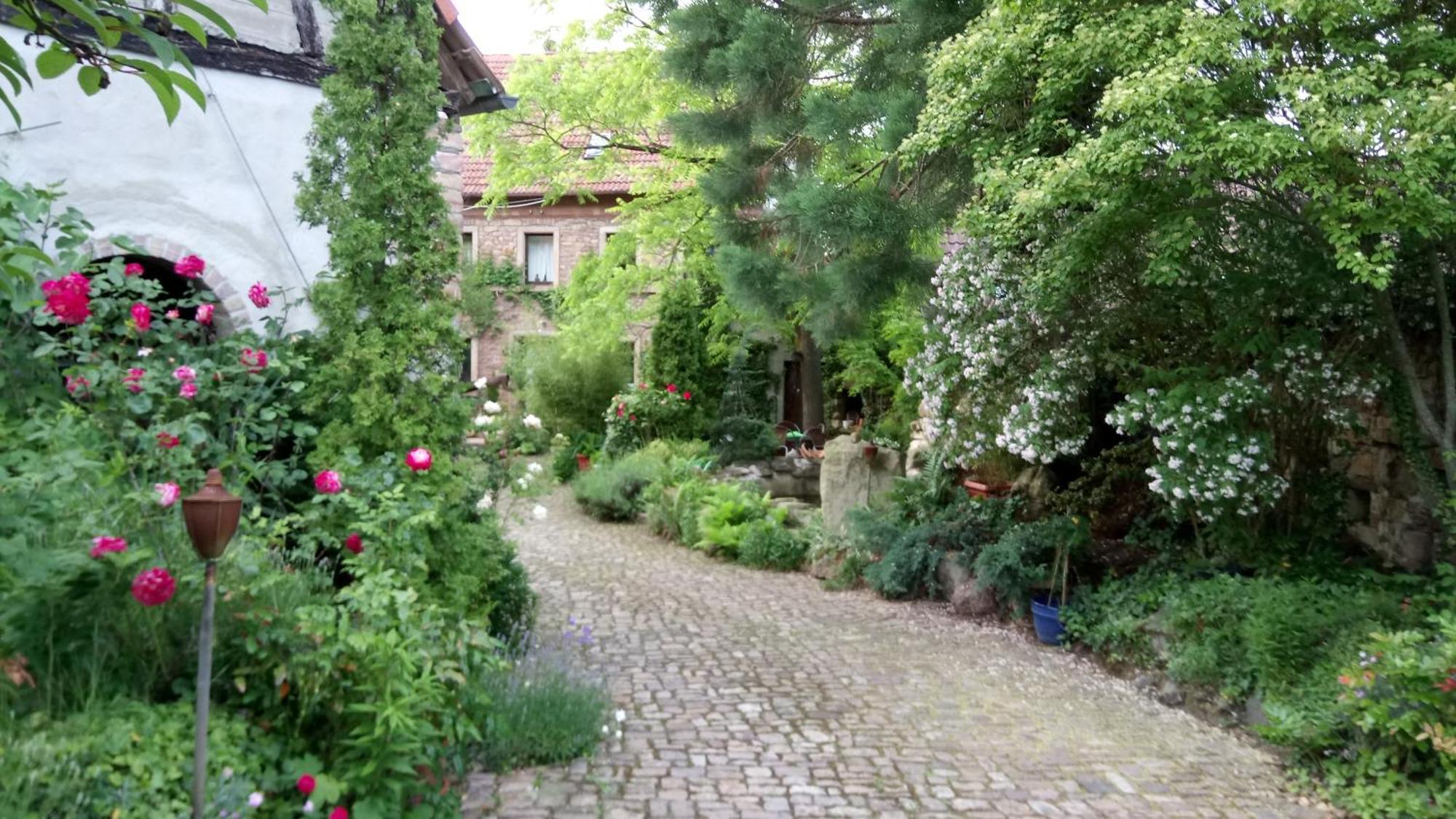 Apartamento "El Patio" Am Donnersberg Dannenfels Exterior foto
