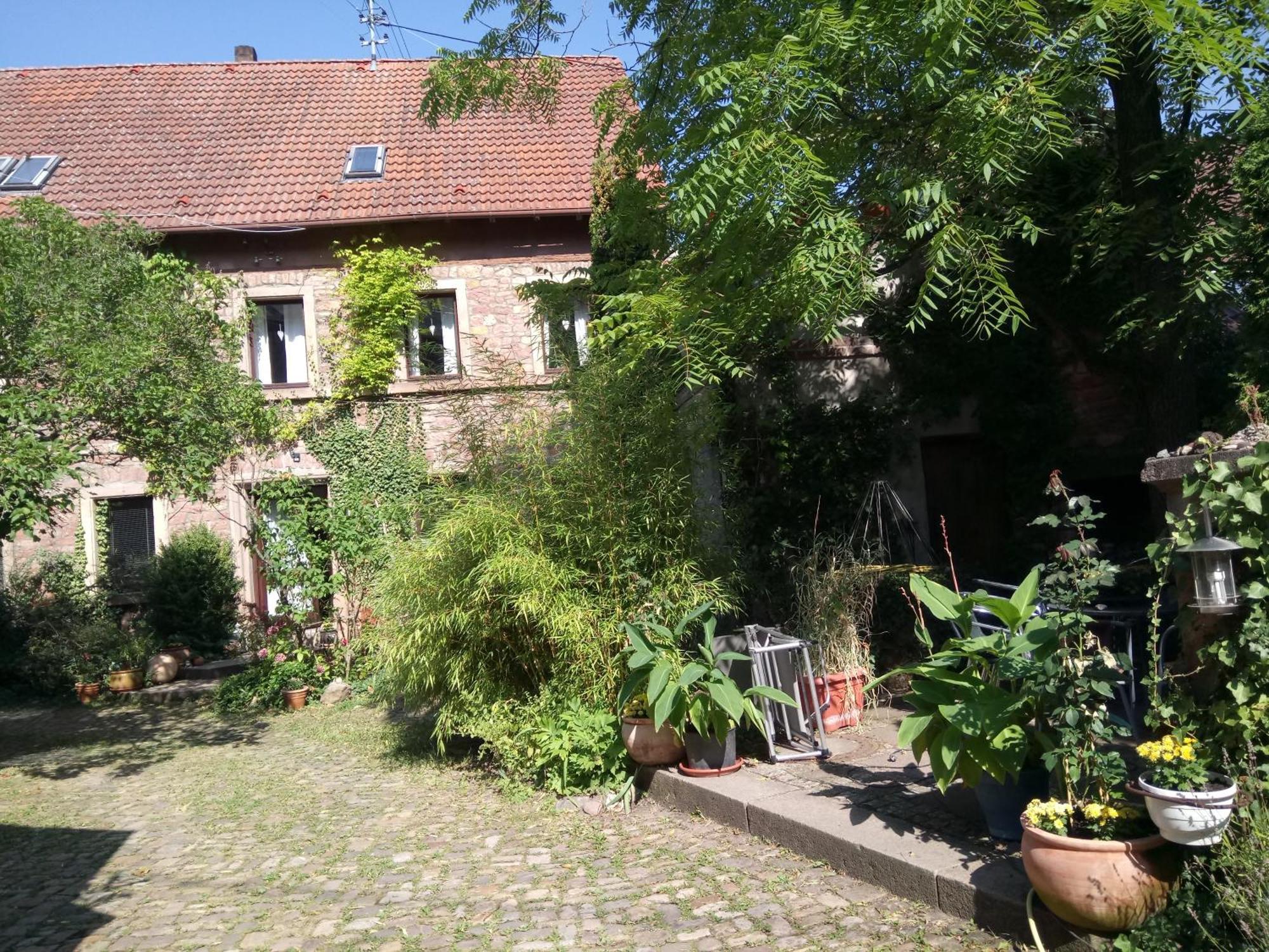 Apartamento "El Patio" Am Donnersberg Dannenfels Exterior foto