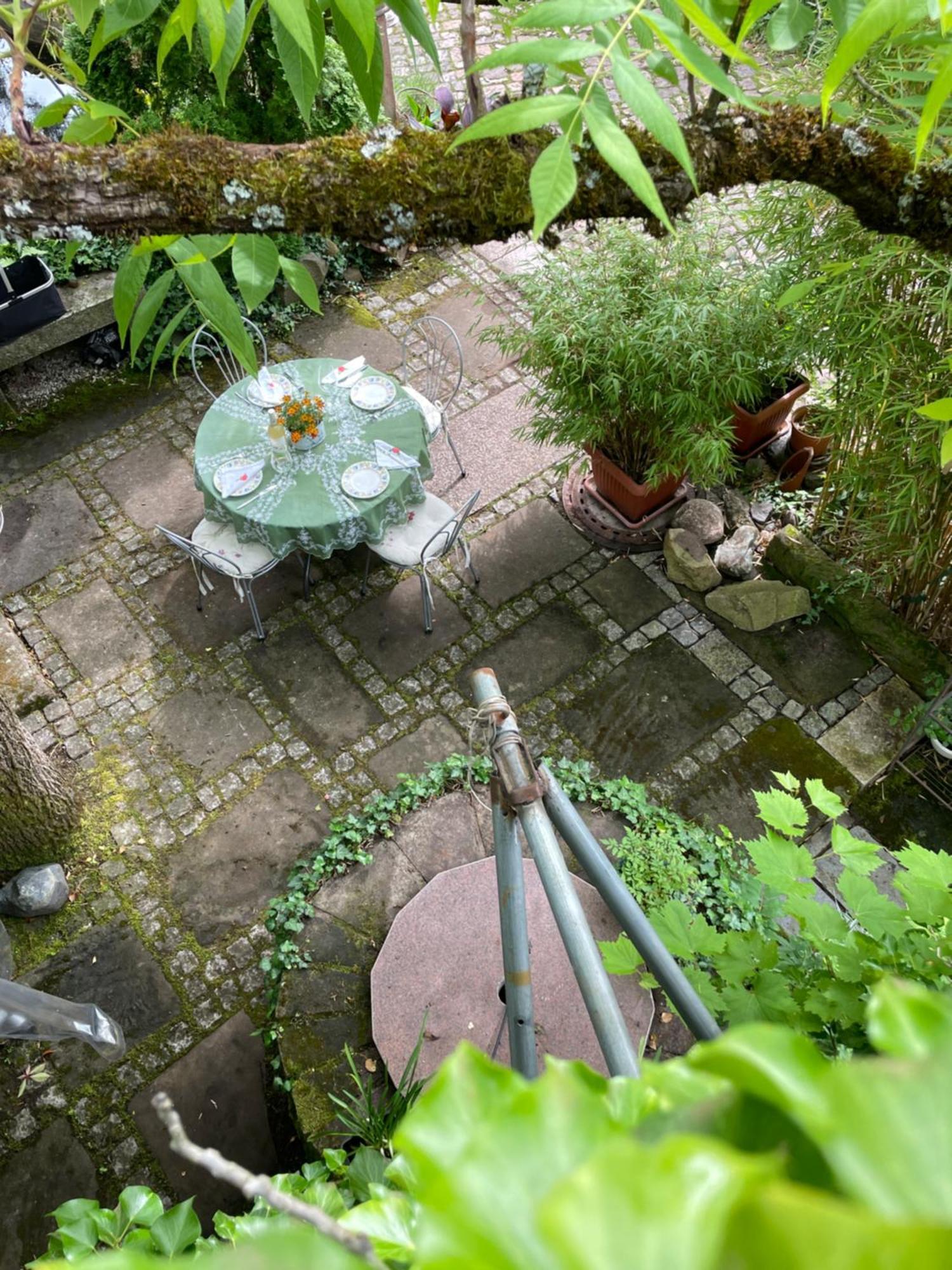 Apartamento "El Patio" Am Donnersberg Dannenfels Exterior foto