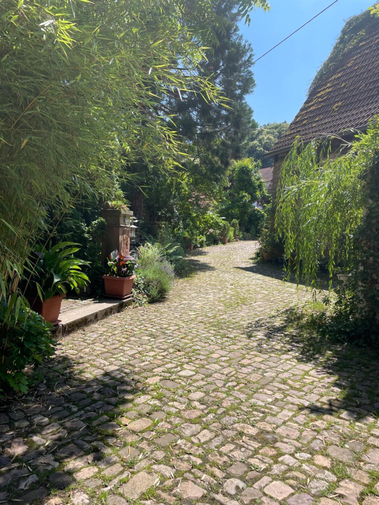 Apartamento "El Patio" Am Donnersberg Dannenfels Exterior foto