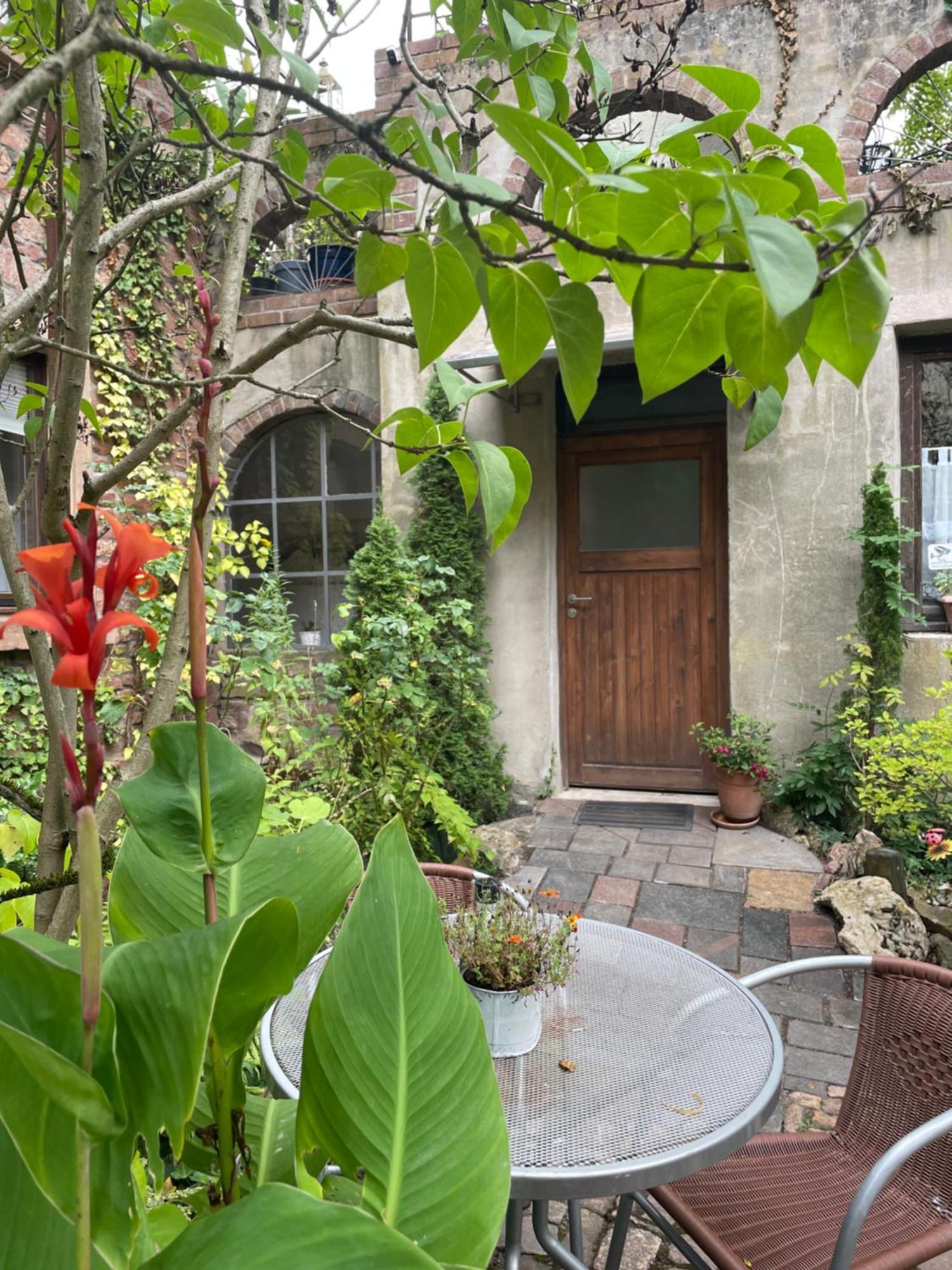 Apartamento "El Patio" Am Donnersberg Dannenfels Exterior foto